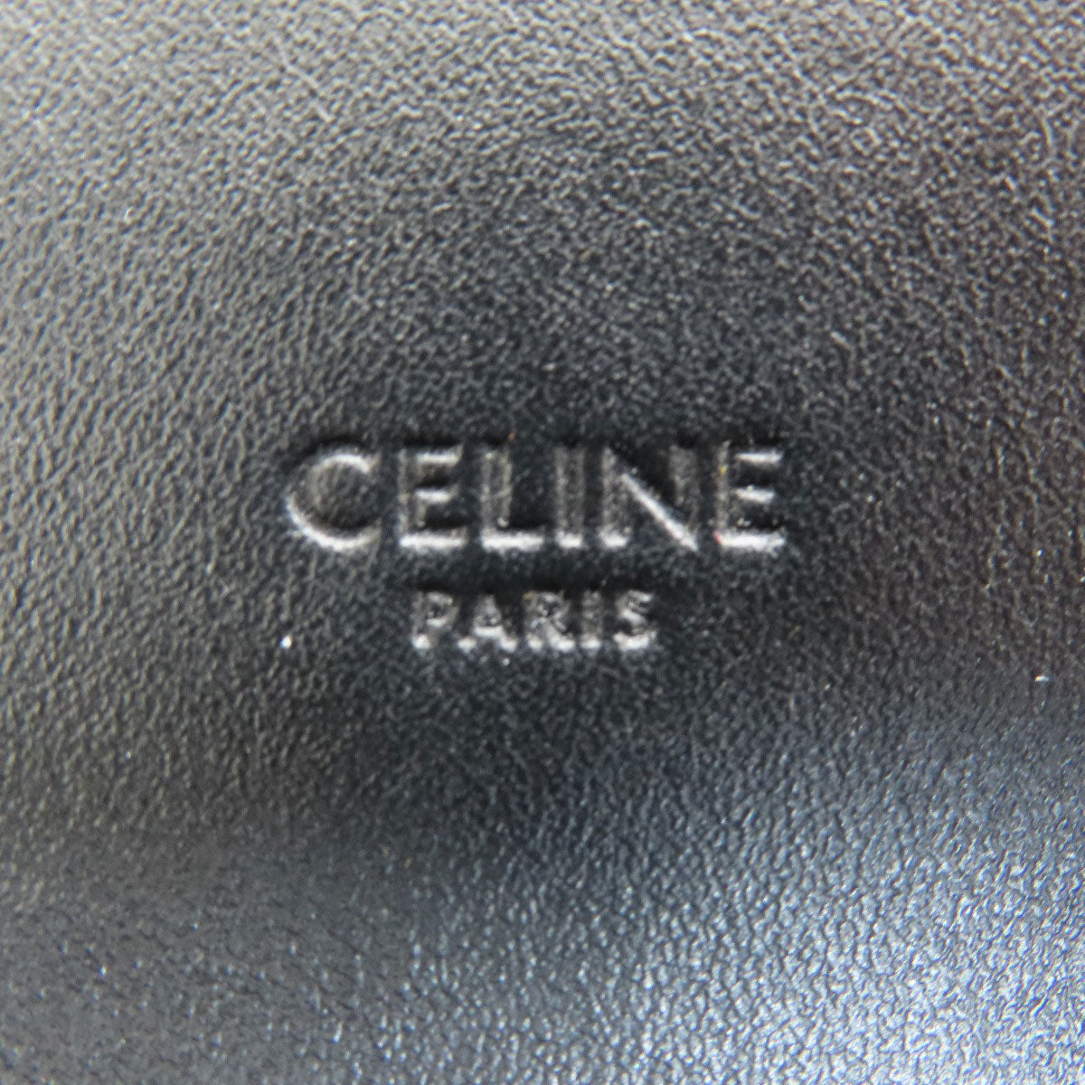 Celine Tote Bag Pvc Brown Triomphe