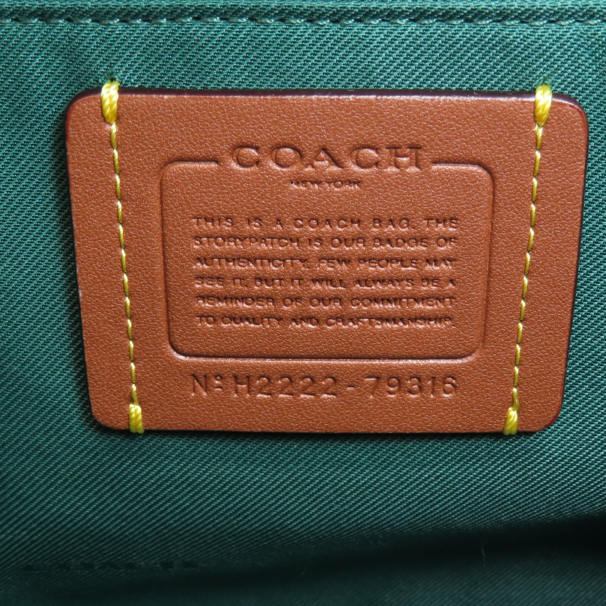 Coach Handbag 79316 Leather Green 2 Way