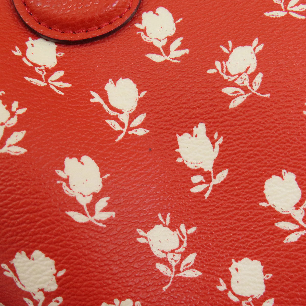 Coach Handbag F38160 Pvc Red Logo 2 Way Flower Motif Women Used Authentic